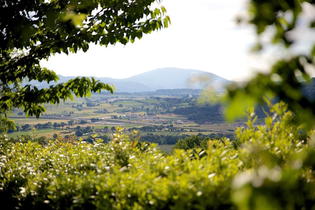 Agriturismo Le Colombe Assisi Eksteriør bilde